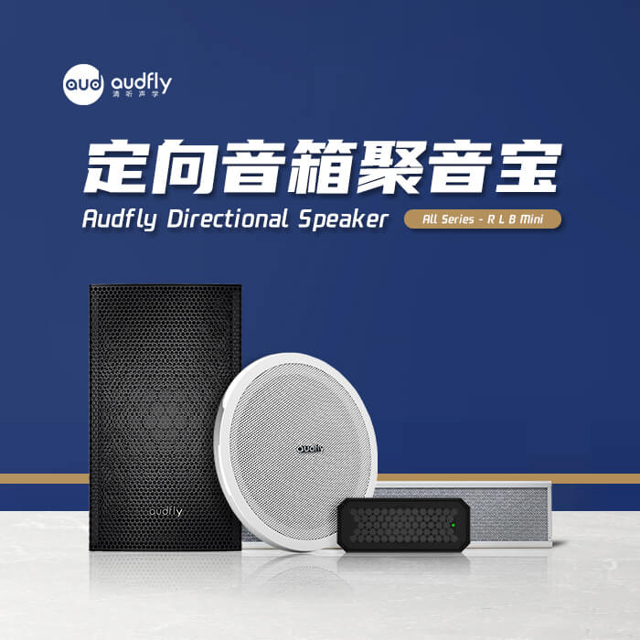 定向播音音箱